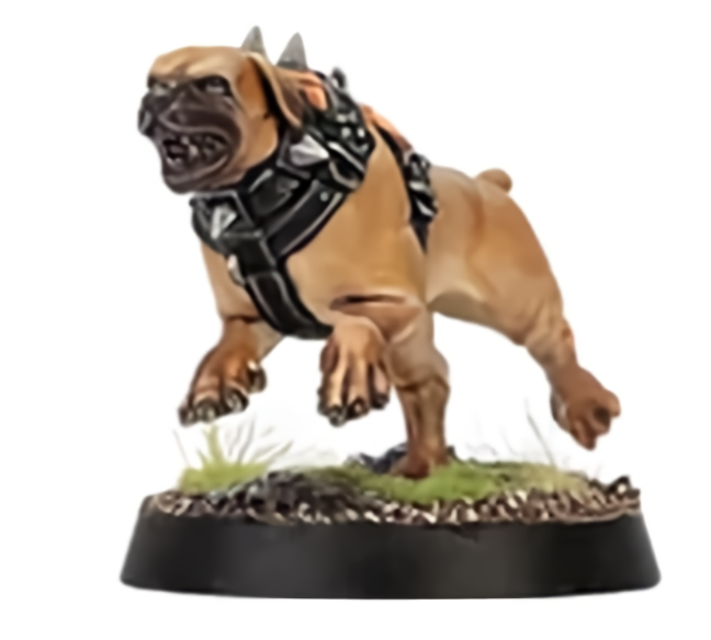 Warcry Wildercorps Hunters Trailhound "D" Games workshop