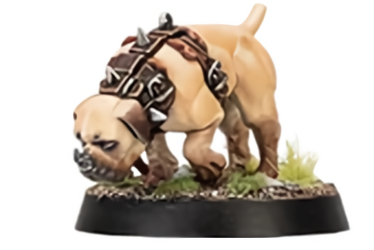 Warcry Wildercorps Hunters Trailhound "A" Games workshop