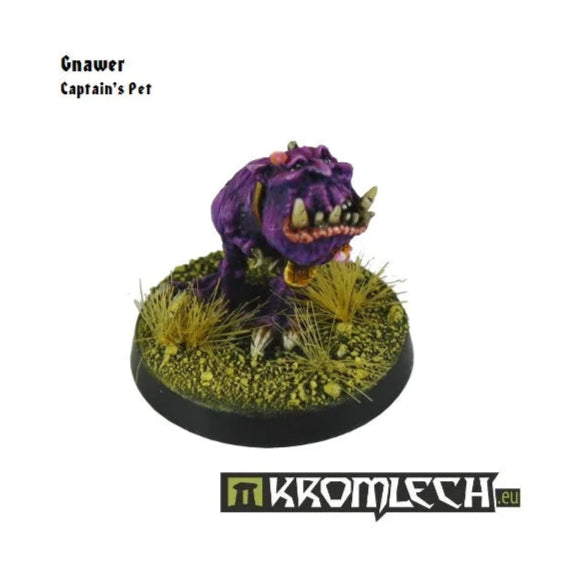 Kromlech Goblin Pirates Gobbosa Blakk Eye with Gnawer